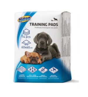 Hea imavuse ja antibakteriaalse kaitsega treeninglinad koertele.