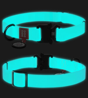 Veekindel pimedas helendav kaelarihm QR-passiga ja metallist kinnitusega, sinine, sobib igaks ilmastikuoluks.