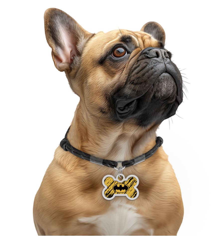 Waudog Smart ID metallist lemmiklooma ripats QR-koodiga - erinevad - Image 10