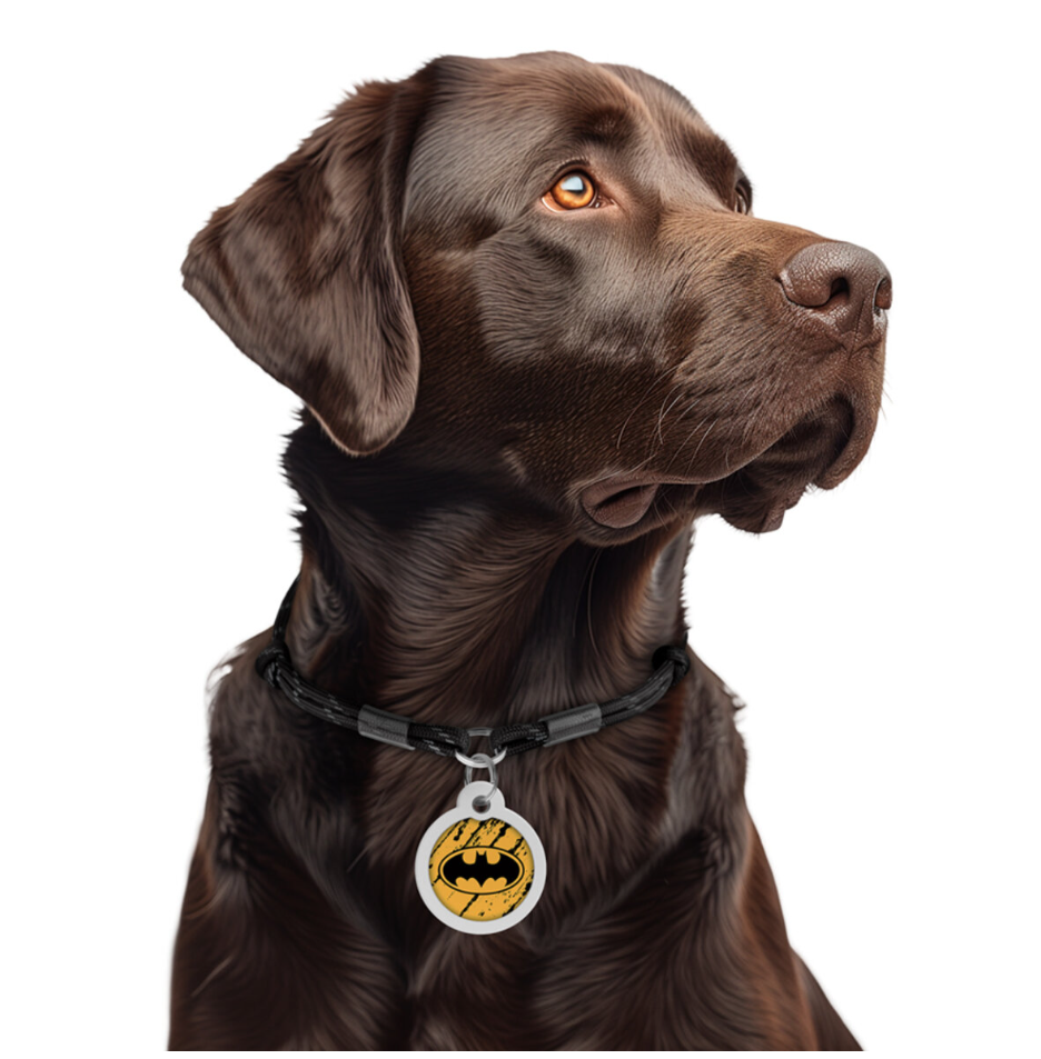 Waudog Smart ID metallist lemmiklooma ripats QR-koodiga - erinevad - Image 8