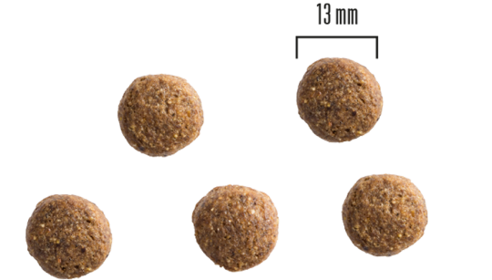 PrimaDog täistoit kana-kartuli kõikidele täiskasvanud koertele 10kg - Image 2