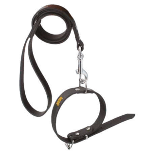 HILTON nahast kaelarihm koerale, erinevad